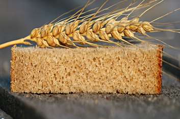 پویش ملی تغذیه