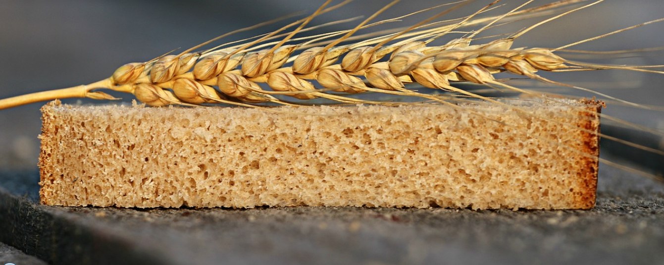 پویش ملی تغذیه